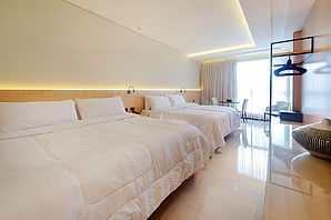 RAFAIN-PREMIUM1.jpg