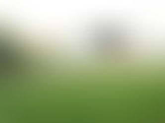 Mapa regulamenta o uso de drones em atividades agropecuárias