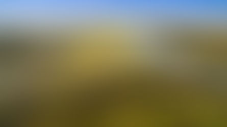 Mato Grosso do Sul cria comitê para ajudar na  preservação do Pantanal