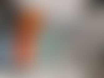 嘉義市 / 東區 / 長榮街