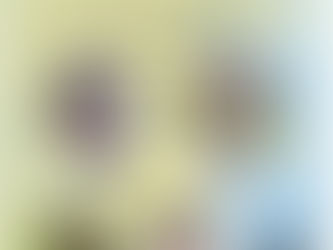 參與清華大學華德福教育系列論壇:「華德福療癒教育與特殊教育的參看」