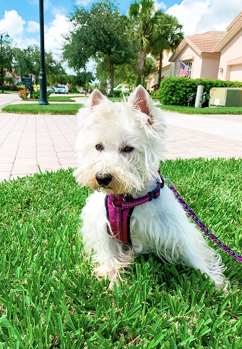 8529D46B-CA95-4CE4-BD75-F908278A4DCF.hei