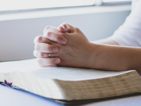 31/03 - Suas próprias experiências