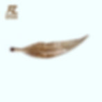 縮圖：FireLux Handmade Custom Cognac  Feather Glass Crafts