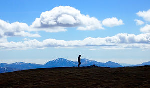 P4238940.jpg