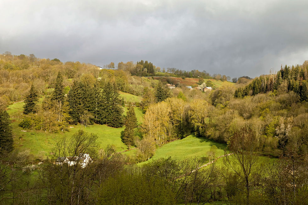 Paysage du chemin