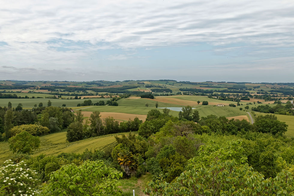 Vue depuis Miradoux