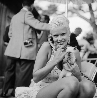 JayneMansfield-with-her-Siamese-kitten.jpeg