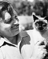 Clark gable1.jpeg