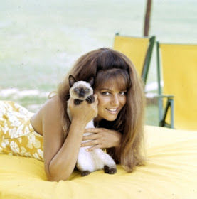 claudiacardinale.jpeg