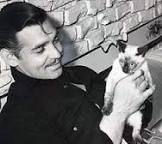 Clark gable.jpeg