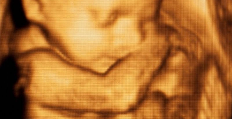Biometria fetale. Parametri, misure per valutazione ecografia della crescita del feto in gravidanza