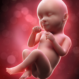 39 settimana di gravidanza. Il feto pesa 3600 gr. Aspetta le contrazioni e il travaglio di parto.