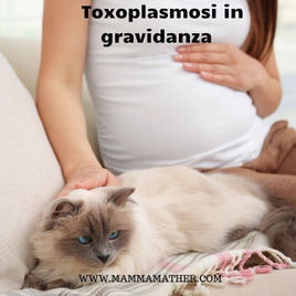 Toxoplasmosi in gravidanza. Contagio, Sintomi, Rischi e , Conseguenze per mese del toxo positivo