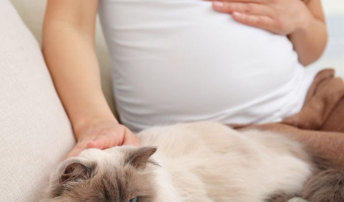 Toxoplasmosi in gravidanza. Contagio, Sintomi, Rischi e , Conseguenze per mese del toxo positivo