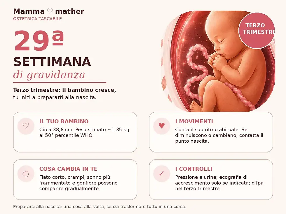 Infografica sulla 29ª settimana di gravidanza con crescita del feto, movimenti, sintomi materni e controlli del terzo trimestre.
