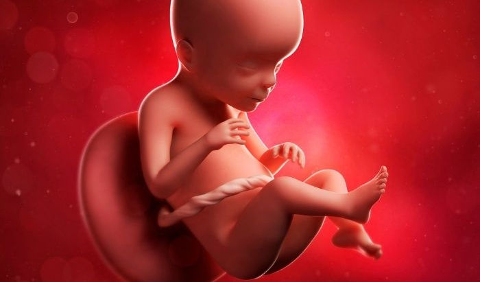 23 settimane di gravidanza. Misure, e lunghezza del feto. Pancia e sintomi mamma. Esami ecografia