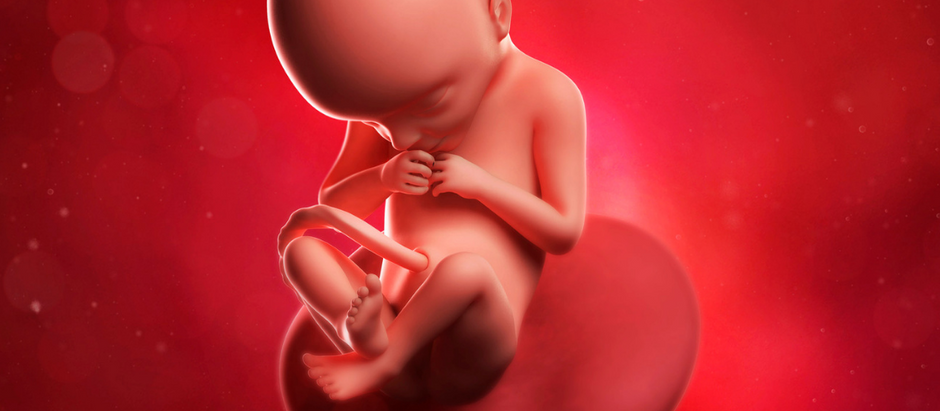 22 settimane di gravidanza. Misure, e lunghezza del feto. Pancia e sintomi mamma. Esami ecografia