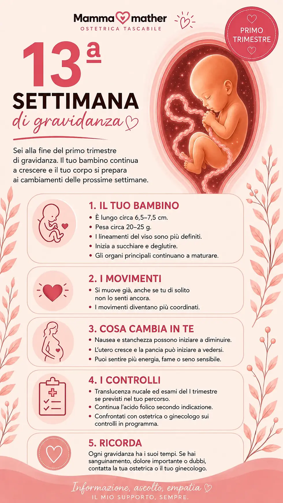 Infografica 13 settimane di gravidanza: sviluppo del bambino, sintomi, ecografia e fine del primo trimestre