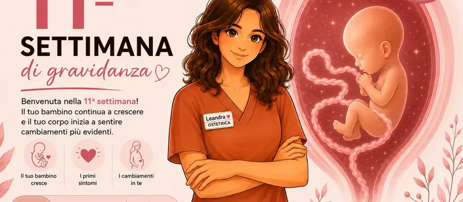 11 settimana di gravidanza: sviluppo del bambino, ecografia e translucenza nucale con ostetrica Leandra Maria Bianco
