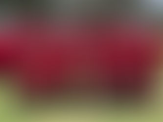 Central North crowned Bradman Cup champions after flawless campaign