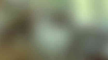 Coworth Park Hotel & Spa Website Analysis, October 2019