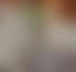 Four Seasons London at Park Lane Official Website 2018