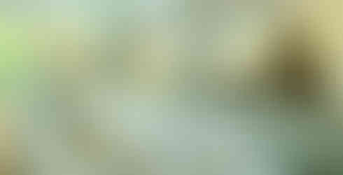 Coworth Park Hotel & Spa Official Website 2019