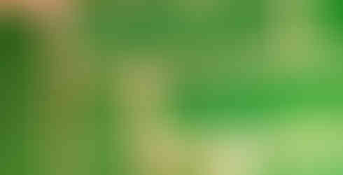 10:34AM Bar Ross, The newly laid 'Green Tiled Floor' is severely damaged, chipped and flaking?, the floor is also very uneven underfoot? Dornoch Station Wednesday 30th August 2023.