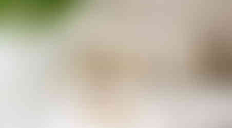 Coworth Park Hotel & Spa Website Analysis, October 2019