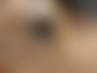 Arrival for Cody in Bensalem Township PA