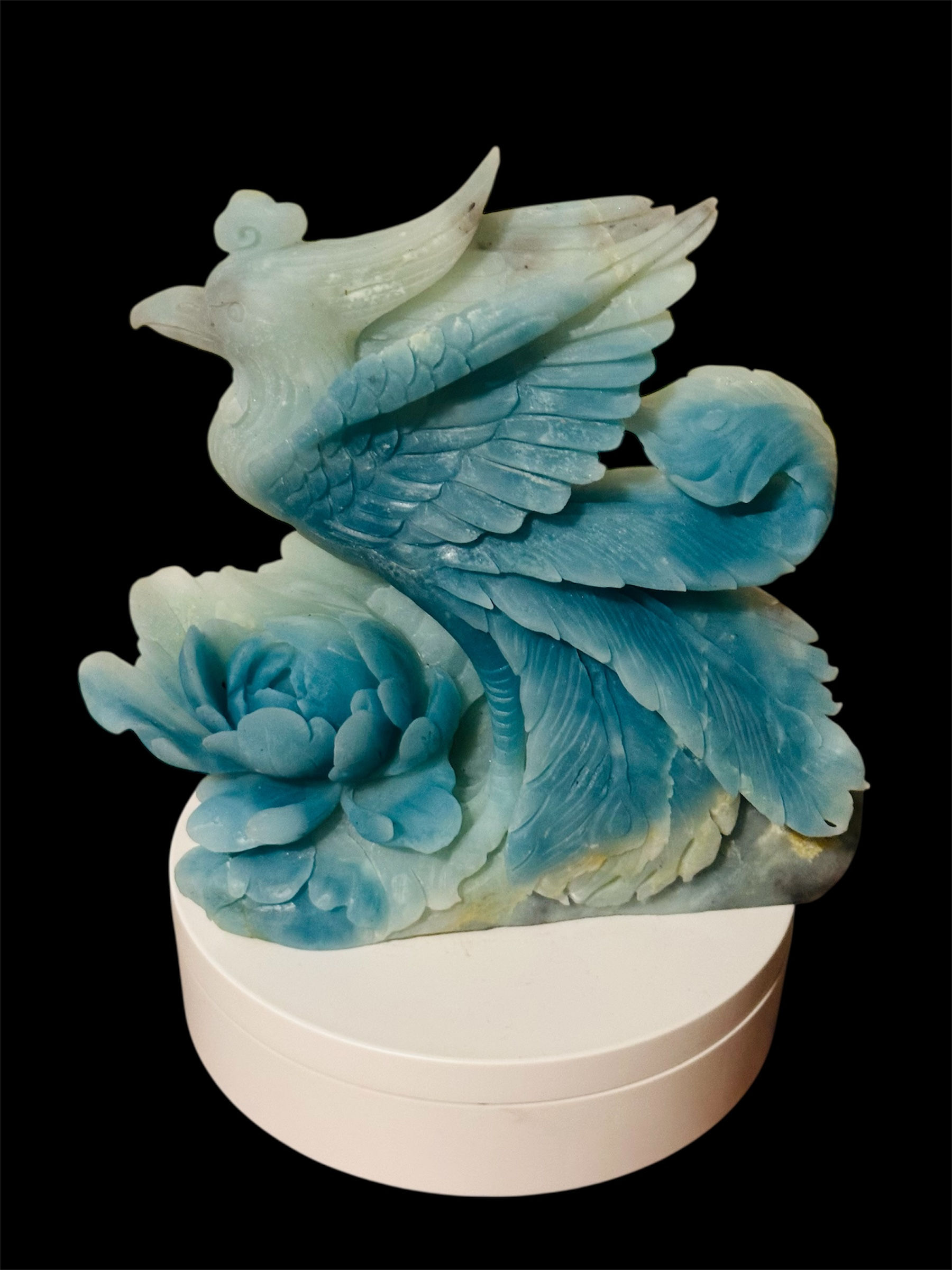 Amazonite Phoenix 