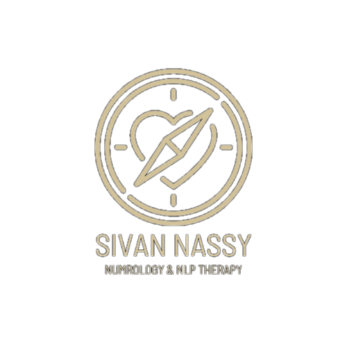 SIVAN NASSY - BLACK_edited.png