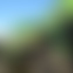 Mark Gilbert, promoter and driver, passes away