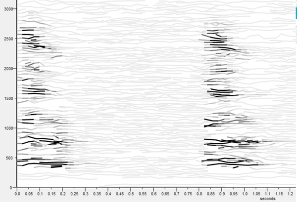 Bark_Sample.png
