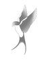 CCAE9D3E-AA4C-400C-8168-8F830A23068B_edi