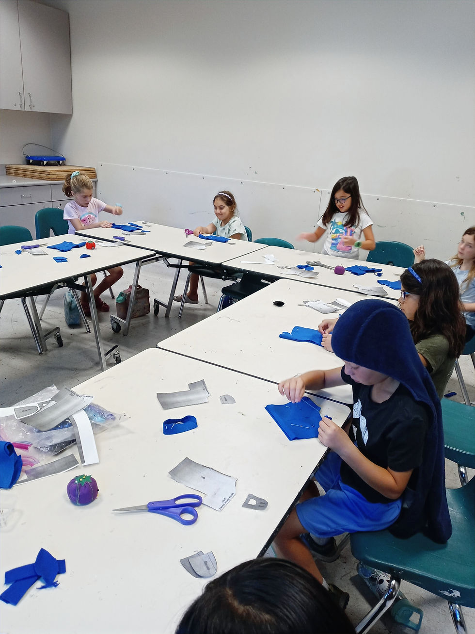 Sewing Classes and Camps