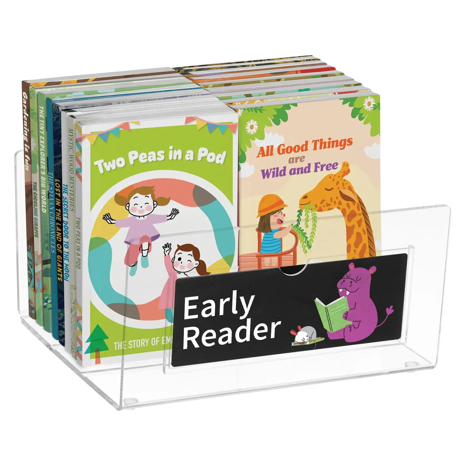 Demco® Deluxe Acrylic Browsing Bin Small