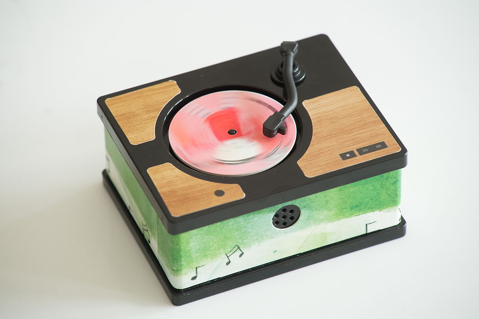 Thumbnail: Mini-Gramophone Box Set incl 36 discs