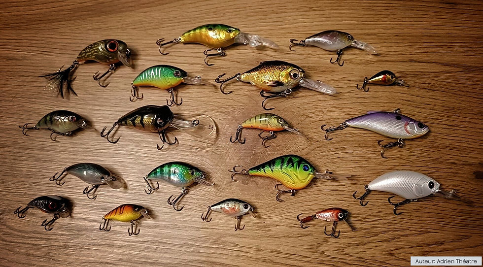 collection de crankbait de Adrien Théatre