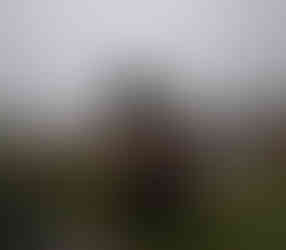 Pêcheur de chez FishXplorer tenant une perche avec un flacid shad de chez chasebaits en Allemagne