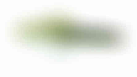 Flacid Shad Coloris Money
