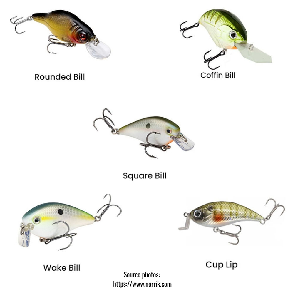 les 5 différents type de bavettes de crankbait en photo avec annotation