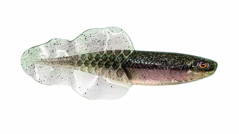 Flacid  Shad Coloris: Stir Fry