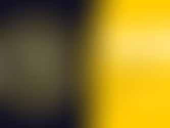 Why People Trust Humans Over AI: Overcoming Algorithm Aversion with a Human-First Approach