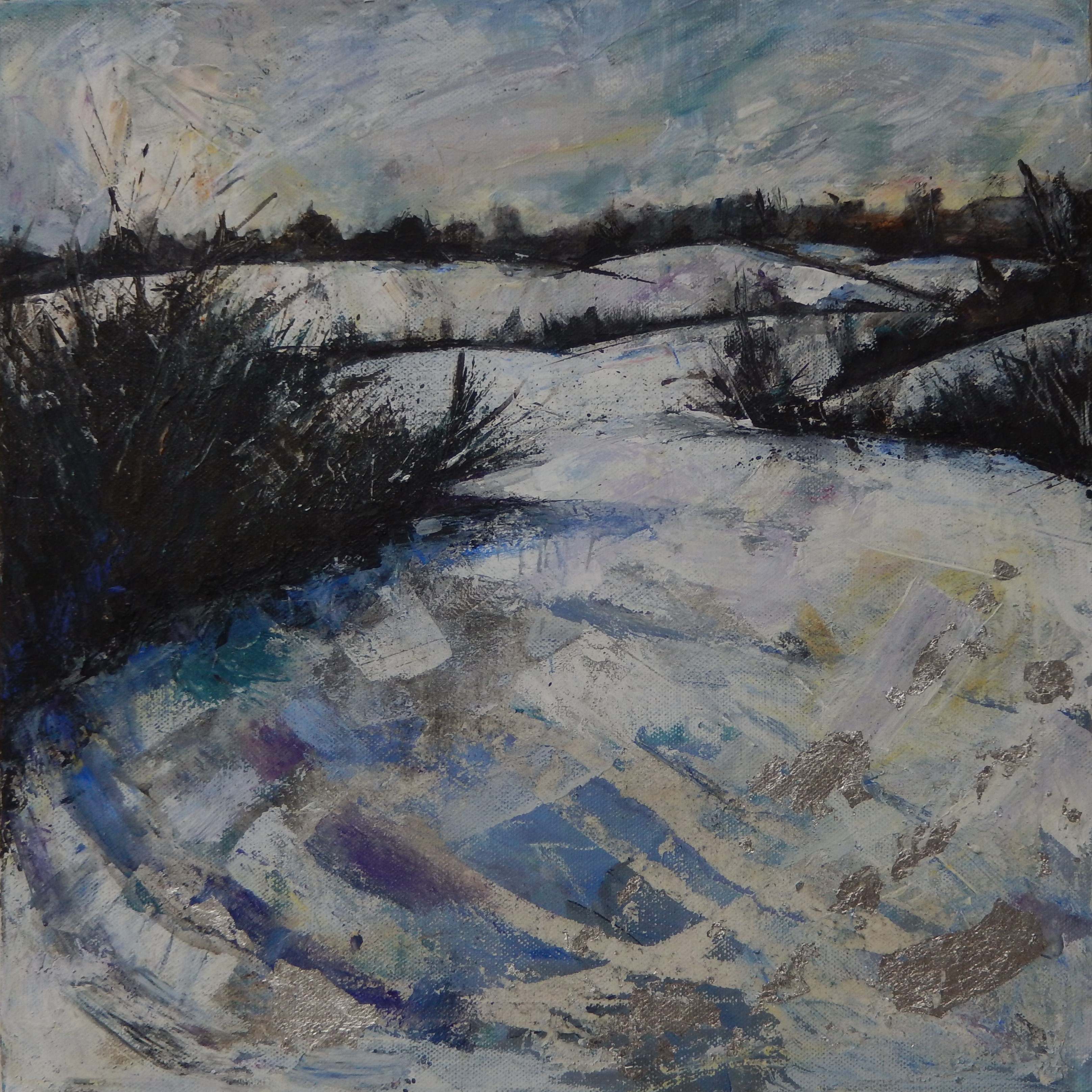 Snowy Fields