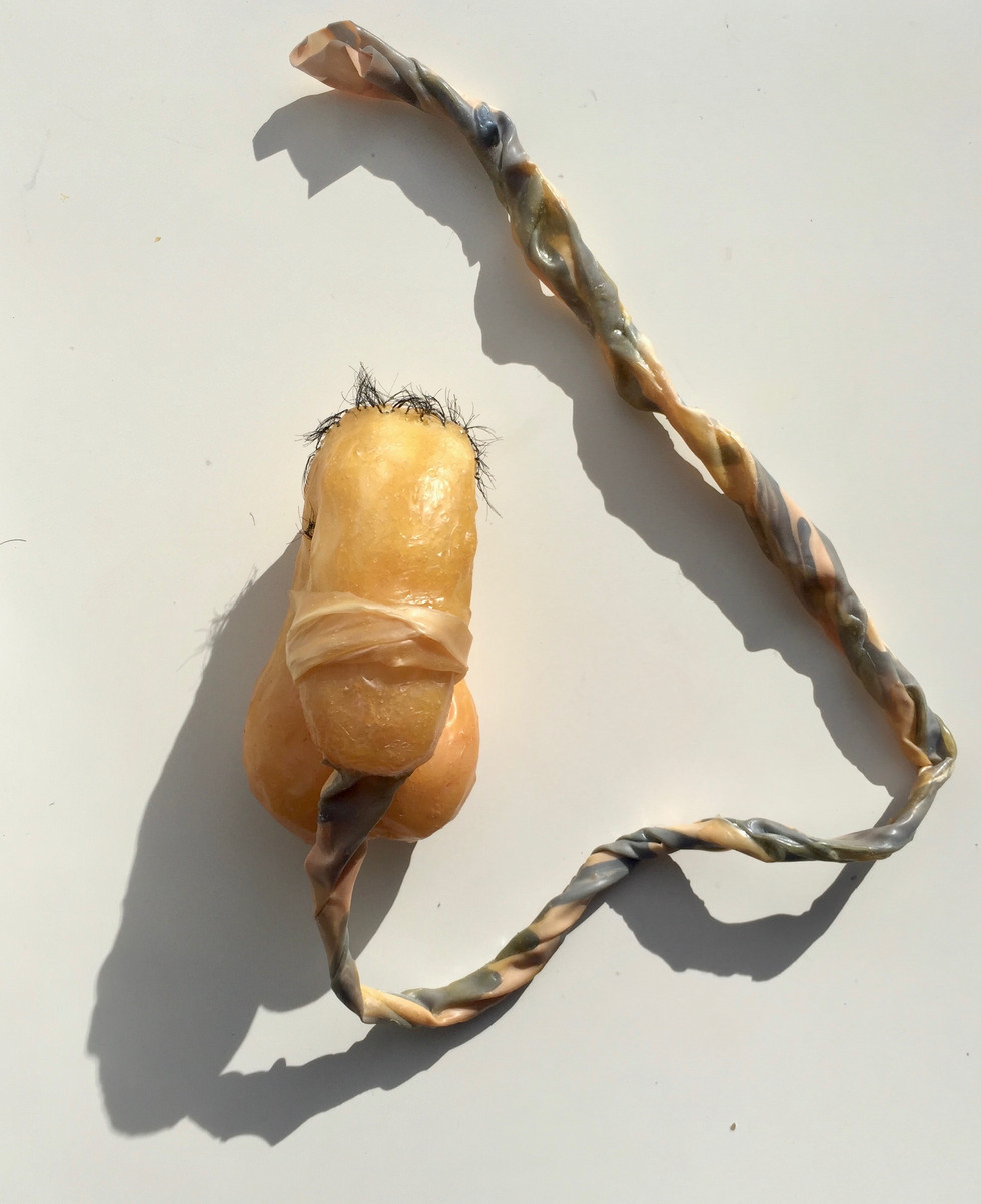 Penis and Umbilical Cord for Our little Patch of Paradise