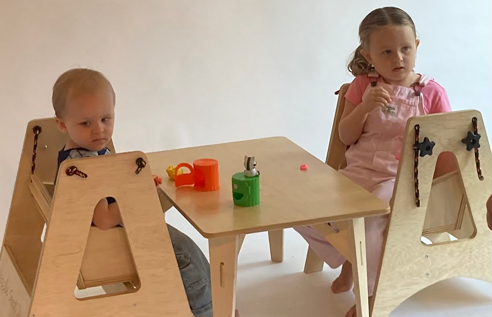 two kids in the WIggle Seat