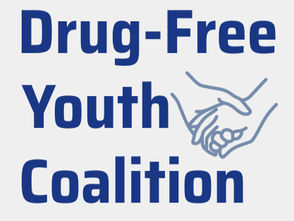 The Drug-Free Youth Coalition of York County: A Community Commitment to Wellness