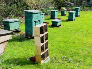 Overwintering Success with Winter Hive tactics